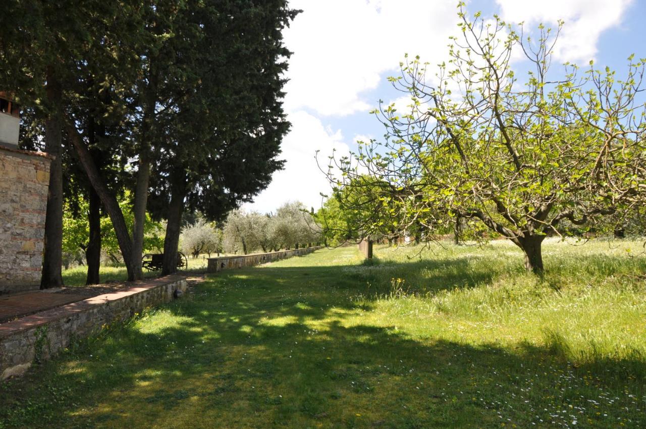 Agriturismo Testalepre Greve in Chianti Kültér fotó