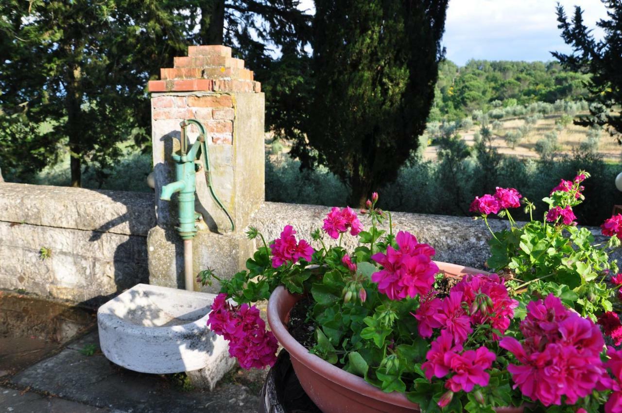 Agriturismo Testalepre Greve in Chianti Kültér fotó