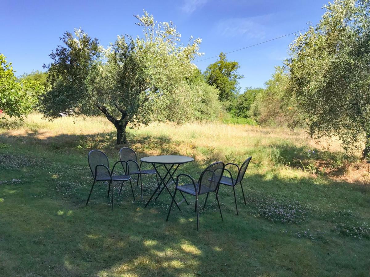 Agriturismo Testalepre Greve in Chianti Kültér fotó